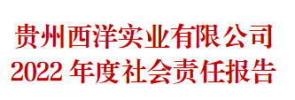 开云官方登录(中国)官方网站 2022年度社会责任报告